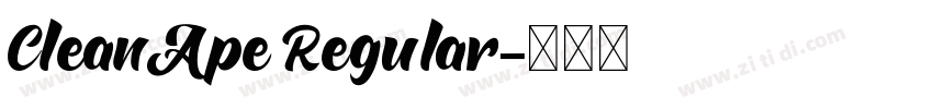 CleanApe Regular字体转换
